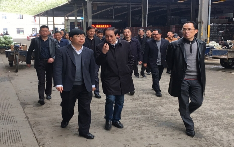 2017年3月16日下午，嘉興市委常委、常務(wù)副市長樓建明帶領(lǐng)市級相關(guān)部門負責人視察嘉興蔬菜批發(fā)市場