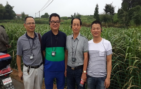 2014年8月，中國蔬菜流通協(xié)會會長戴中久與公司、市場領(lǐng)導(dǎo)一起考察蔬菜基地