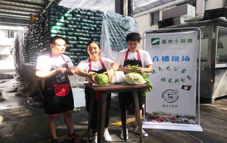 創(chuàng)意直播帶貨,本期專(zhuān)欄：蘭州高原夏菜！