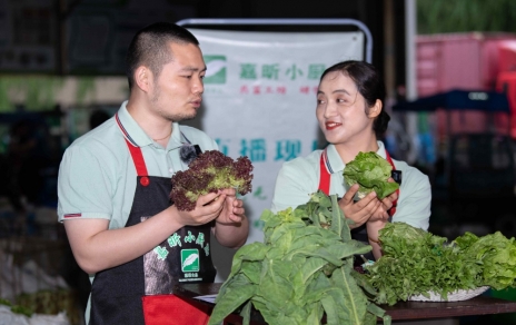 千金如玉，一口清心--生菜?油麥菜?萵筍直播專場(chǎng)